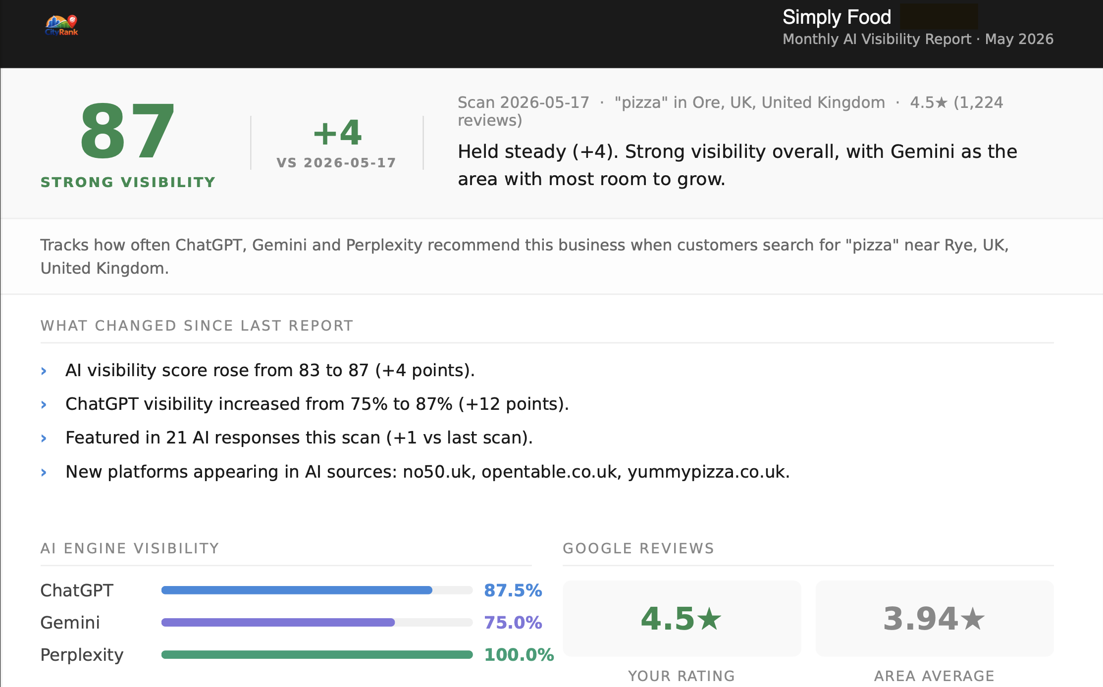AI Visibility Report